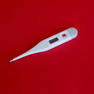 Flex Temp Smart Digital Thermometer