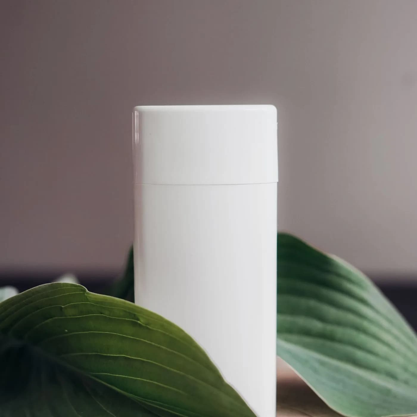 Deodorant 48h Sensitive Skin — Deodorants