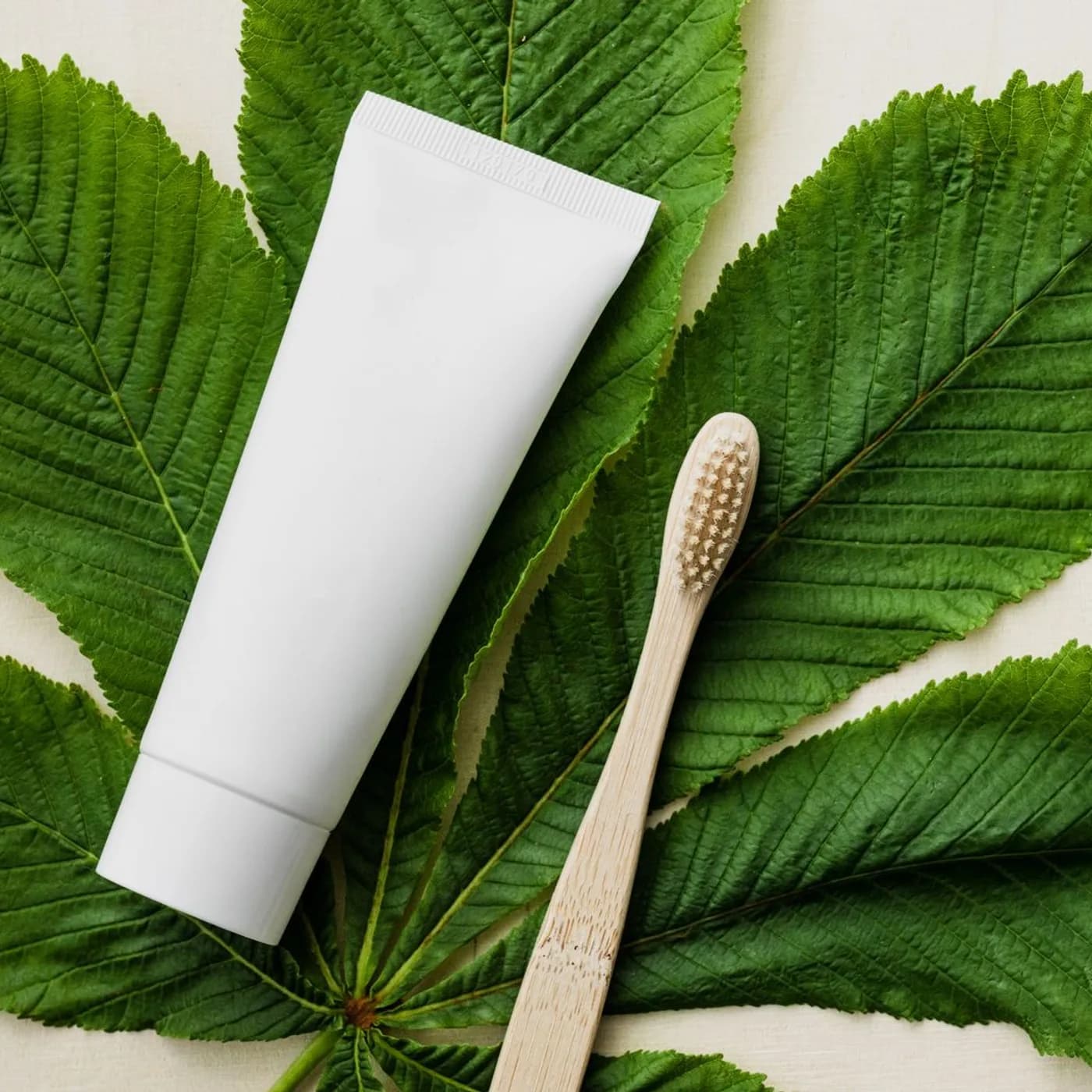 Gum Care Herbal Toothpaste